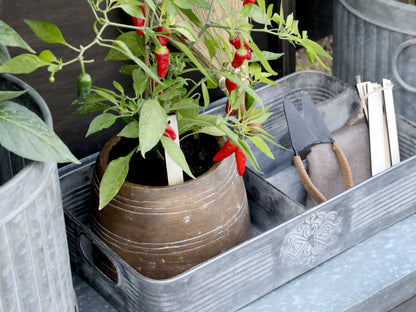 Metal Tray with 4 Compartments