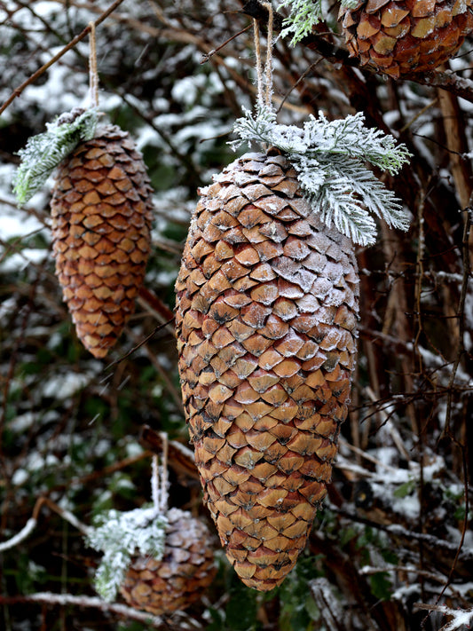 Fleur Pine Cone with Snow & Glitter freeshipping - Generosa